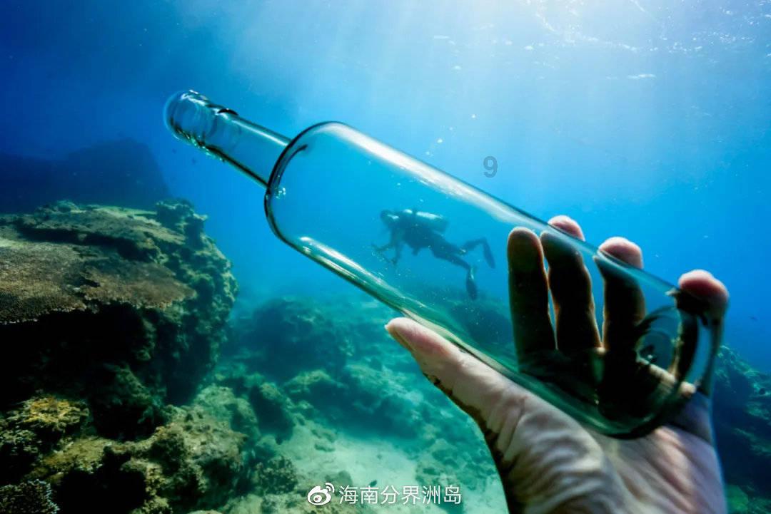 公主的阅读区